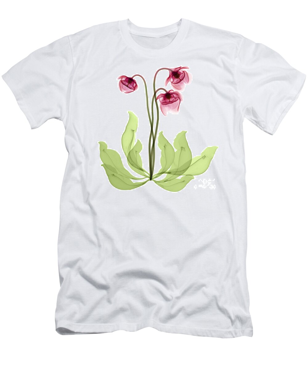 Science T-Shirt featuring the photograph Pitcher Plant Flowers, X-ray by Ted Kinsman