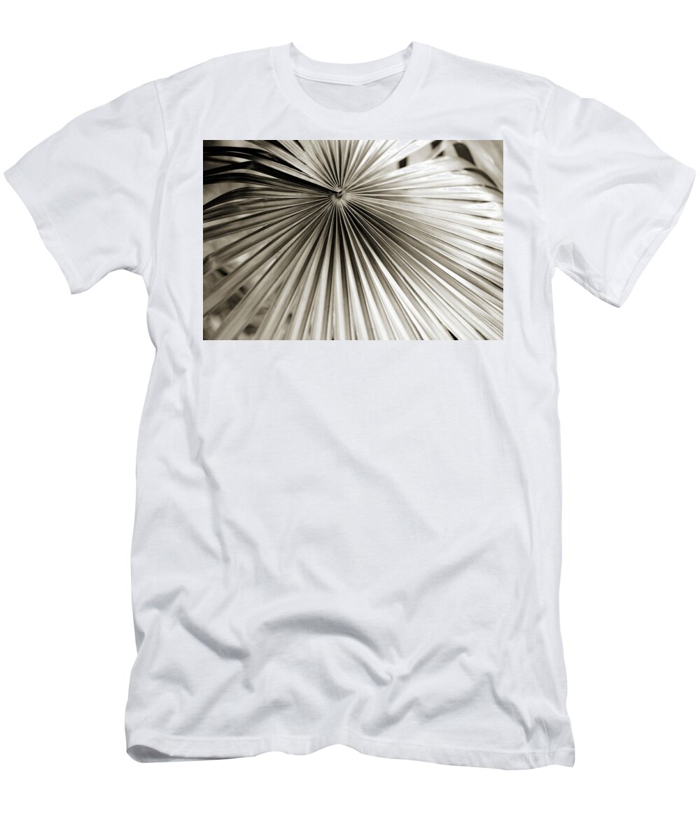  Plant T-Shirt featuring the photograph Plant Lines by Marilyn Hunt