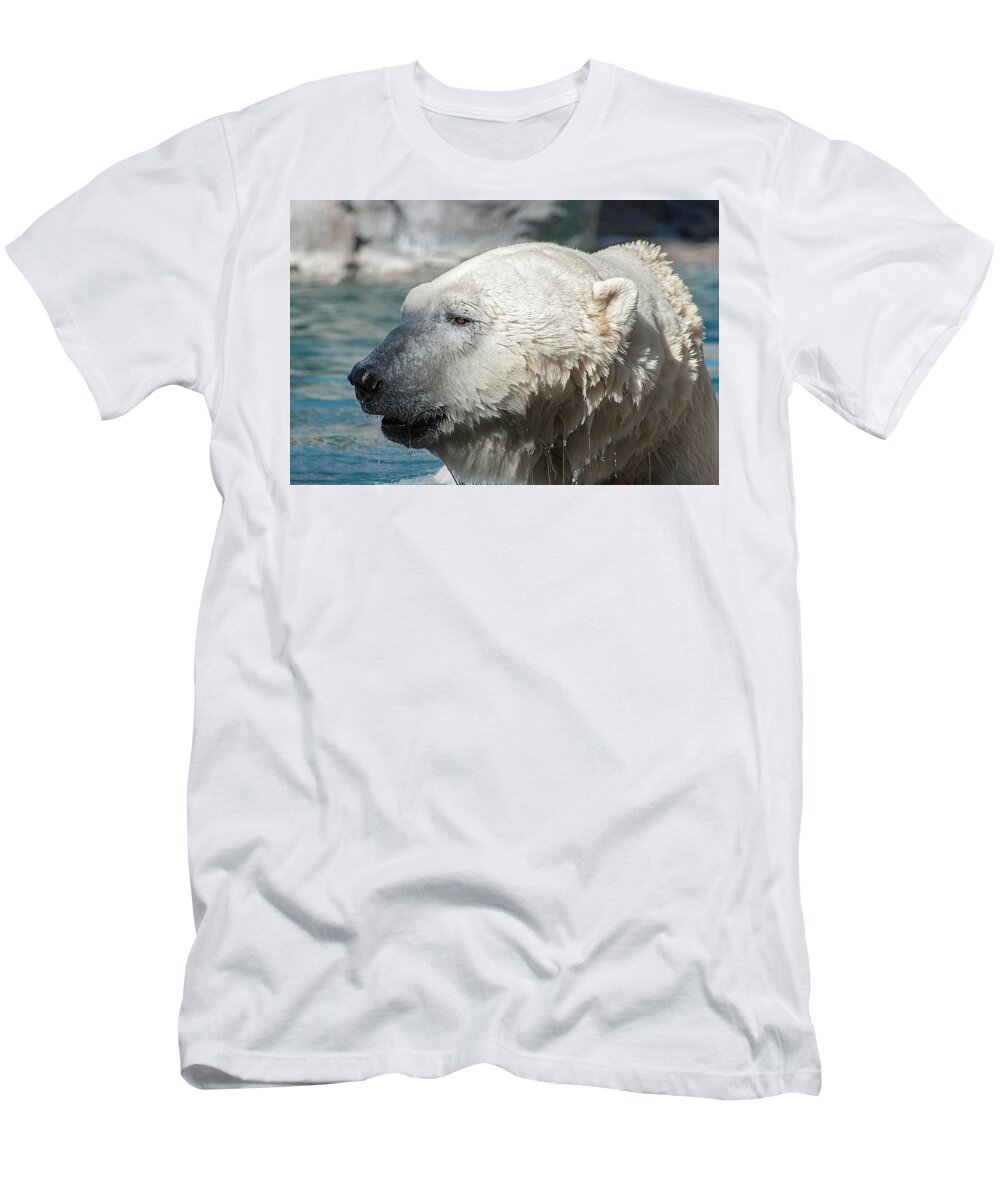 Photography T-Shirt featuring the photograph Polar Bear Club by Kathleen Messmer