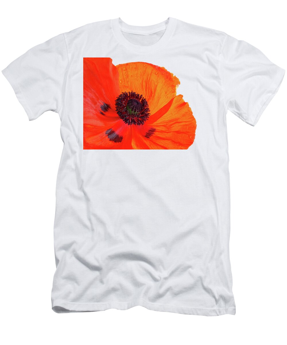 Red Poppy T-Shirt featuring the photograph Poppy With Raindrops 3 by Gill Billington