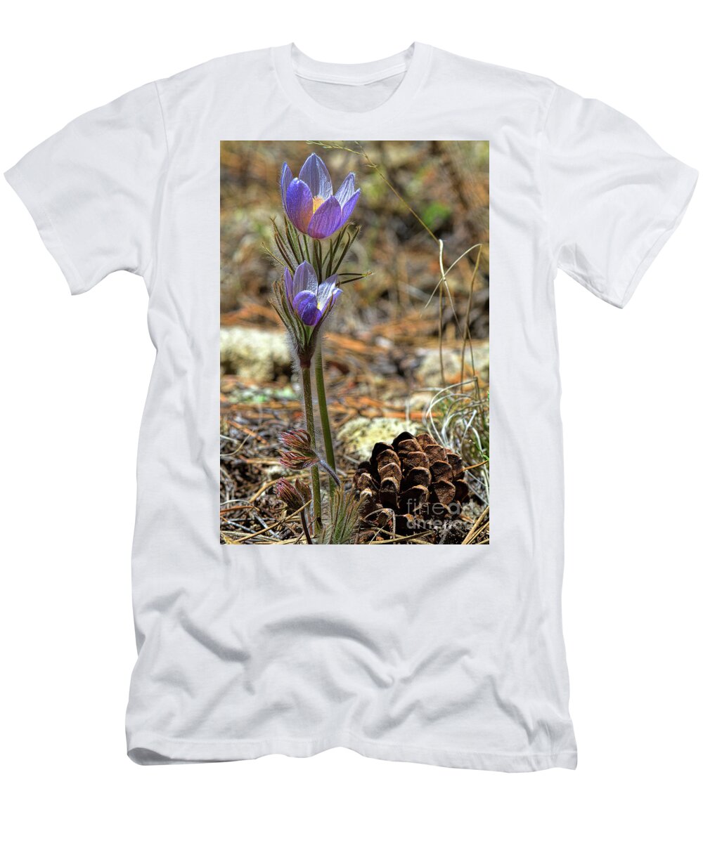 Pasque Flower T-Shirt featuring the photograph Prairie Crocus by Jim Garrison