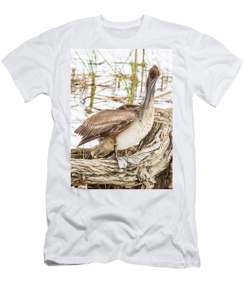 Jean Noren T-Shirt featuring the photograph Preening Pelican by Jean Noren