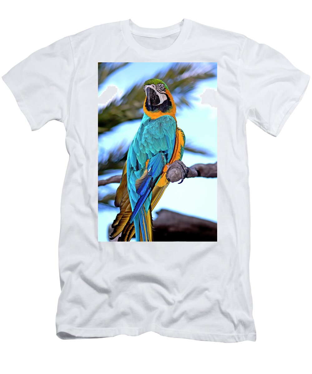 Macaw T-Shirt featuring the photograph Pretty Parrot by Carolyn Marshall