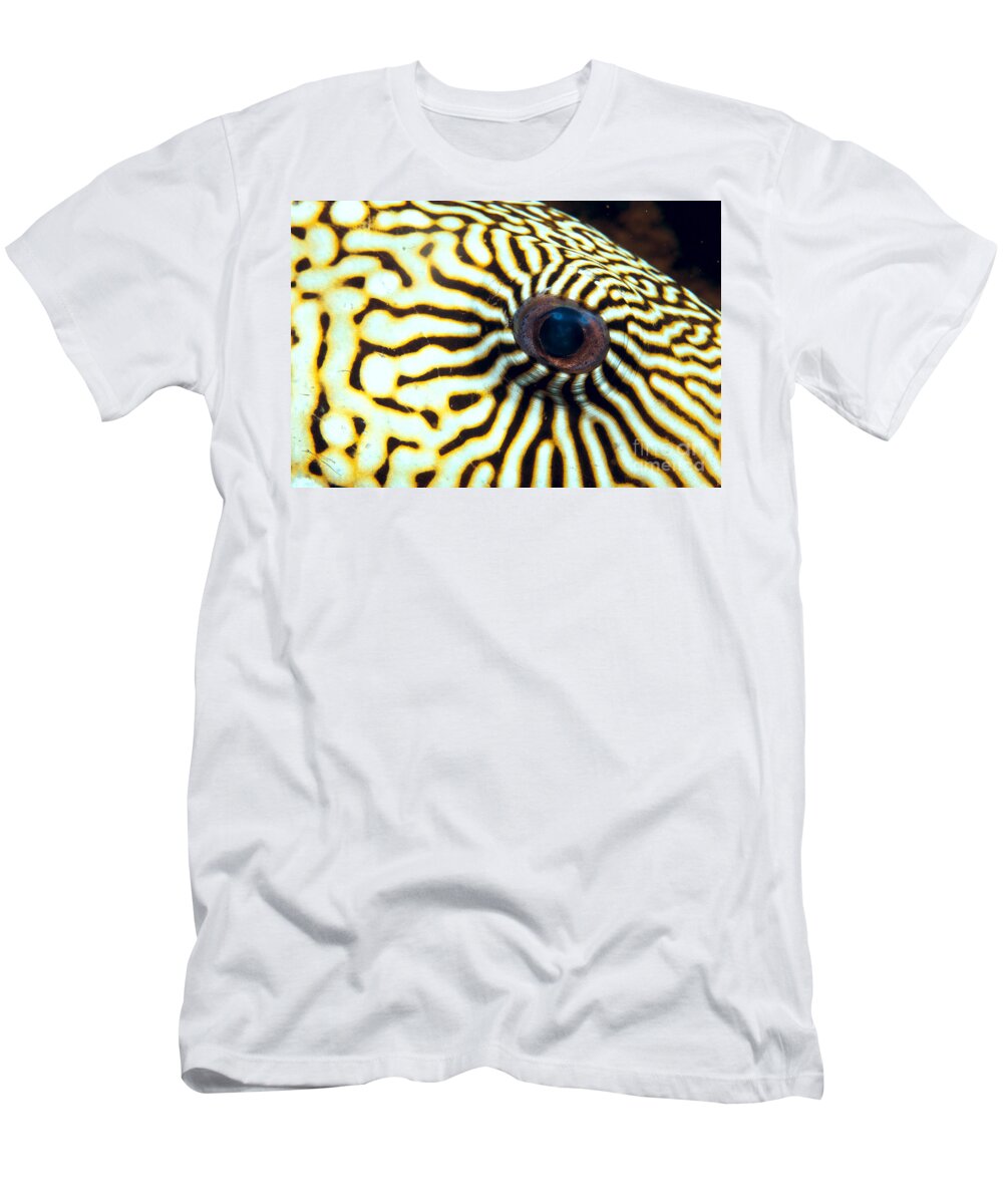 C1928 T-Shirt featuring the photograph Pufferfish by Dave Fleetham - Printscapes
