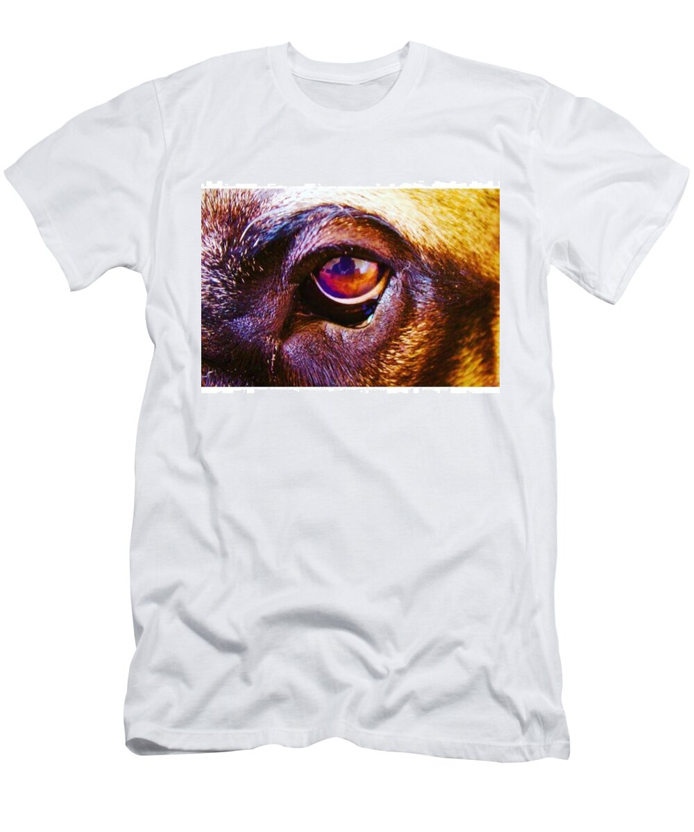 Dogphotos T-Shirt featuring the photograph Puppy Eye Selfie by Whitney Golden