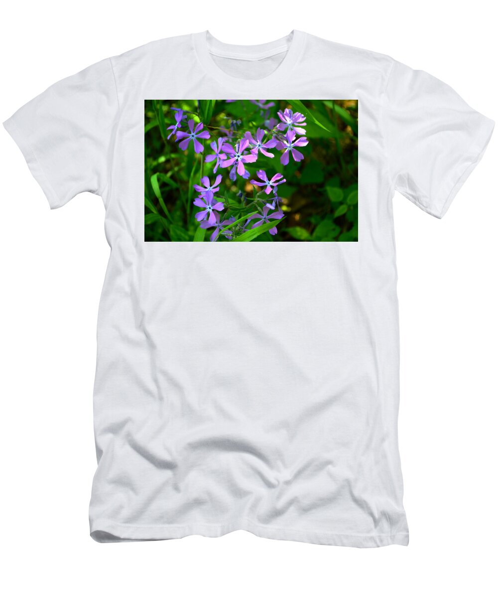 Phlox T-Shirt featuring the photograph Purple Phlox in the Woods by Stacie Siemsen