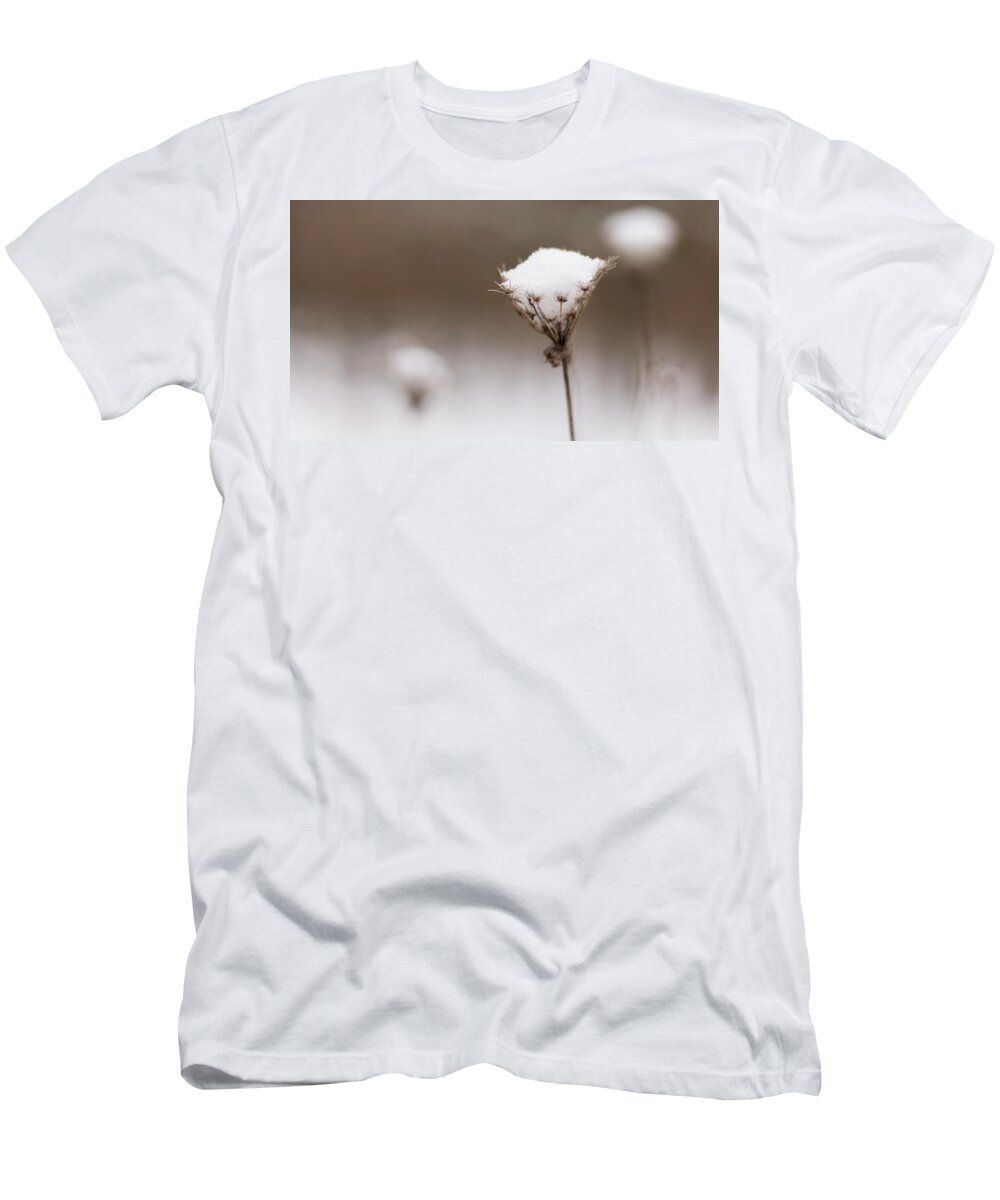 Wildflower T-Shirt featuring the photograph Queen Anne in the Snow by Holly Ross