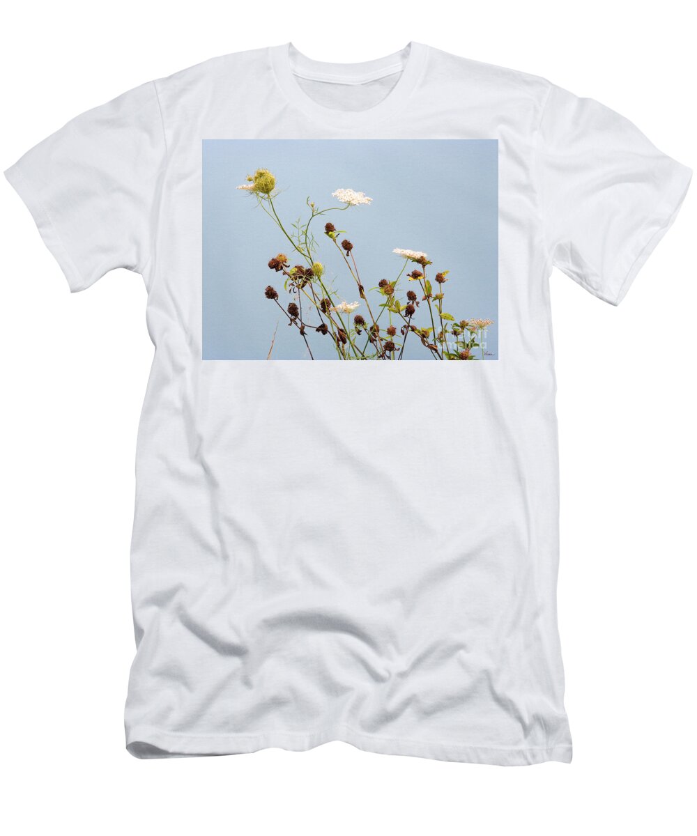 Lise Winne T-Shirt featuring the photograph Queen Anne's Lace and Dried Clovers by Lise Winne