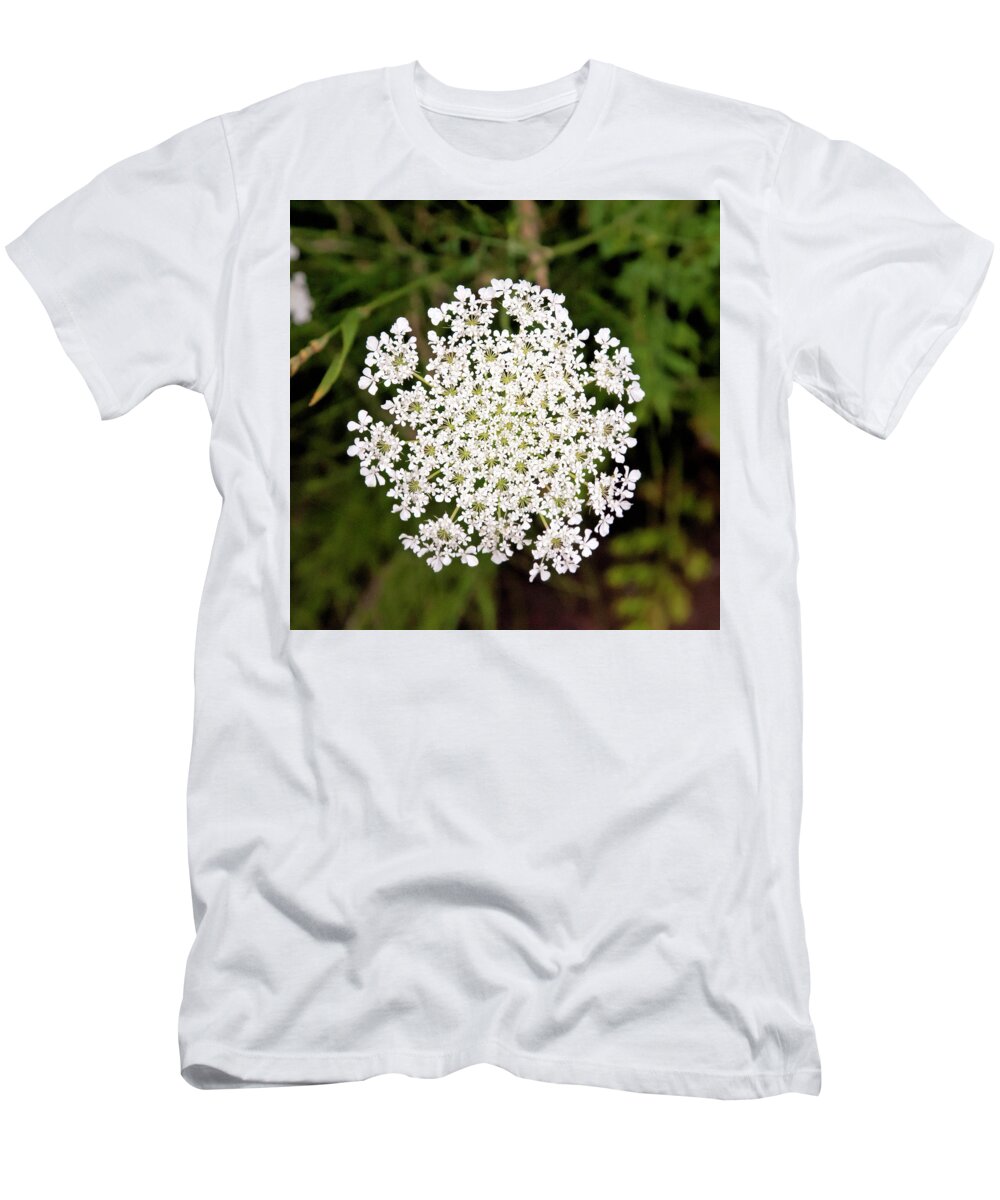 Queen Annes Lace T-Shirt featuring the photograph Queen Anne's Lace by Phyllis Taylor