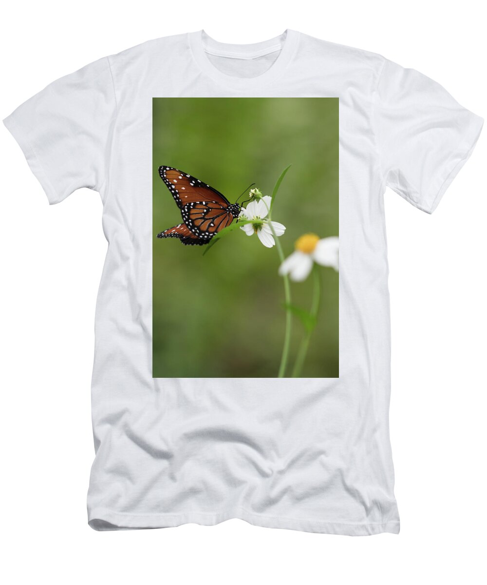 Butterfly T-Shirt featuring the photograph Queen Drinking Nectar by Artful Imagery
