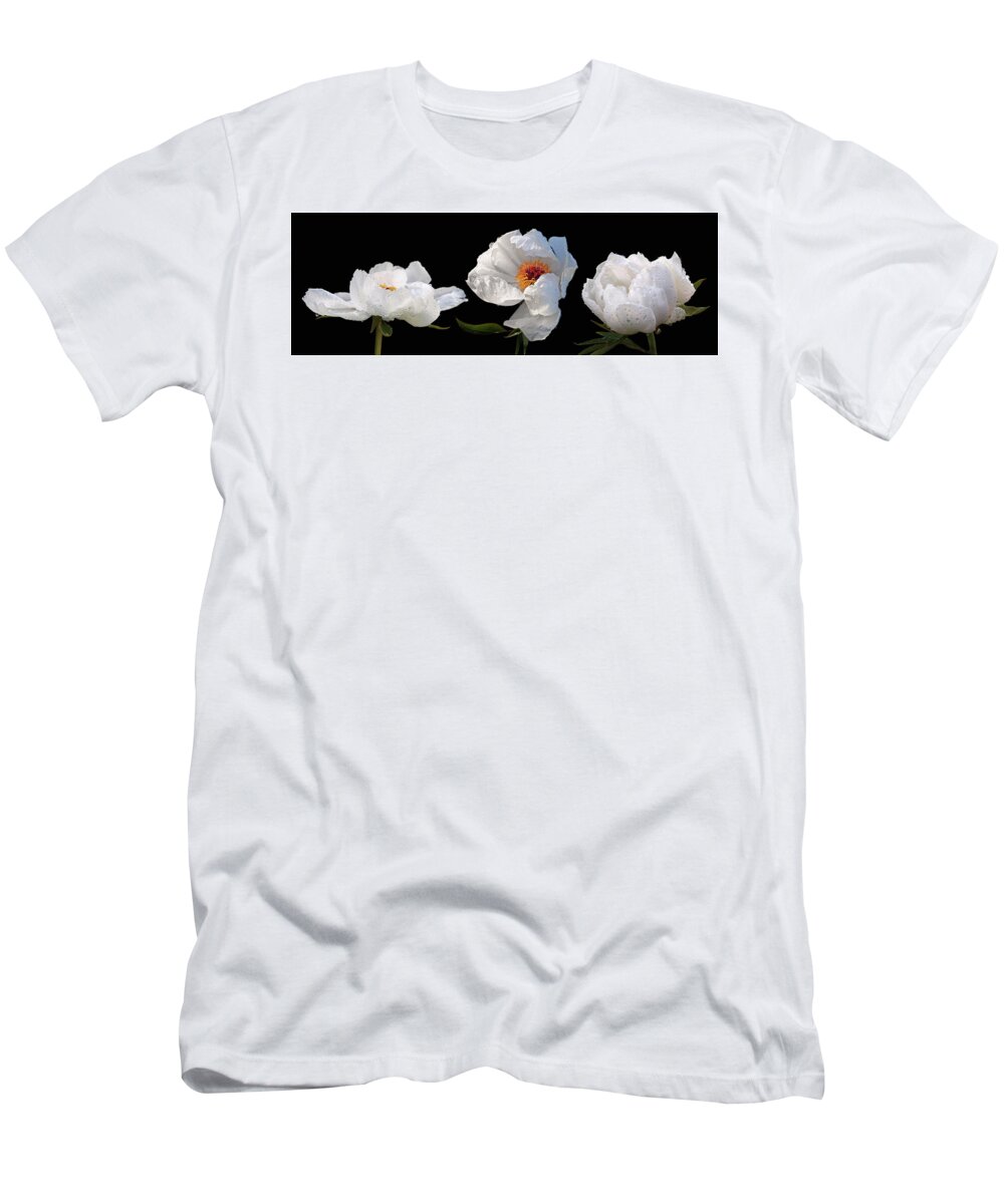 White Tree Peony T-Shirt featuring the photograph Raindrops on White Peonies Panoramic by Gill Billington