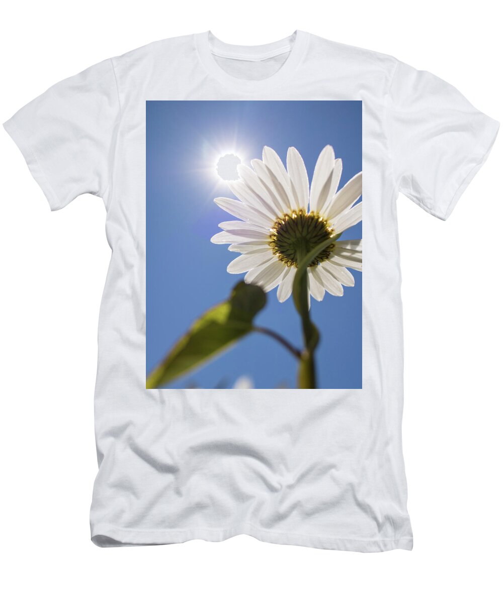 Daisy T-Shirt featuring the photograph Reach by Holly Ross