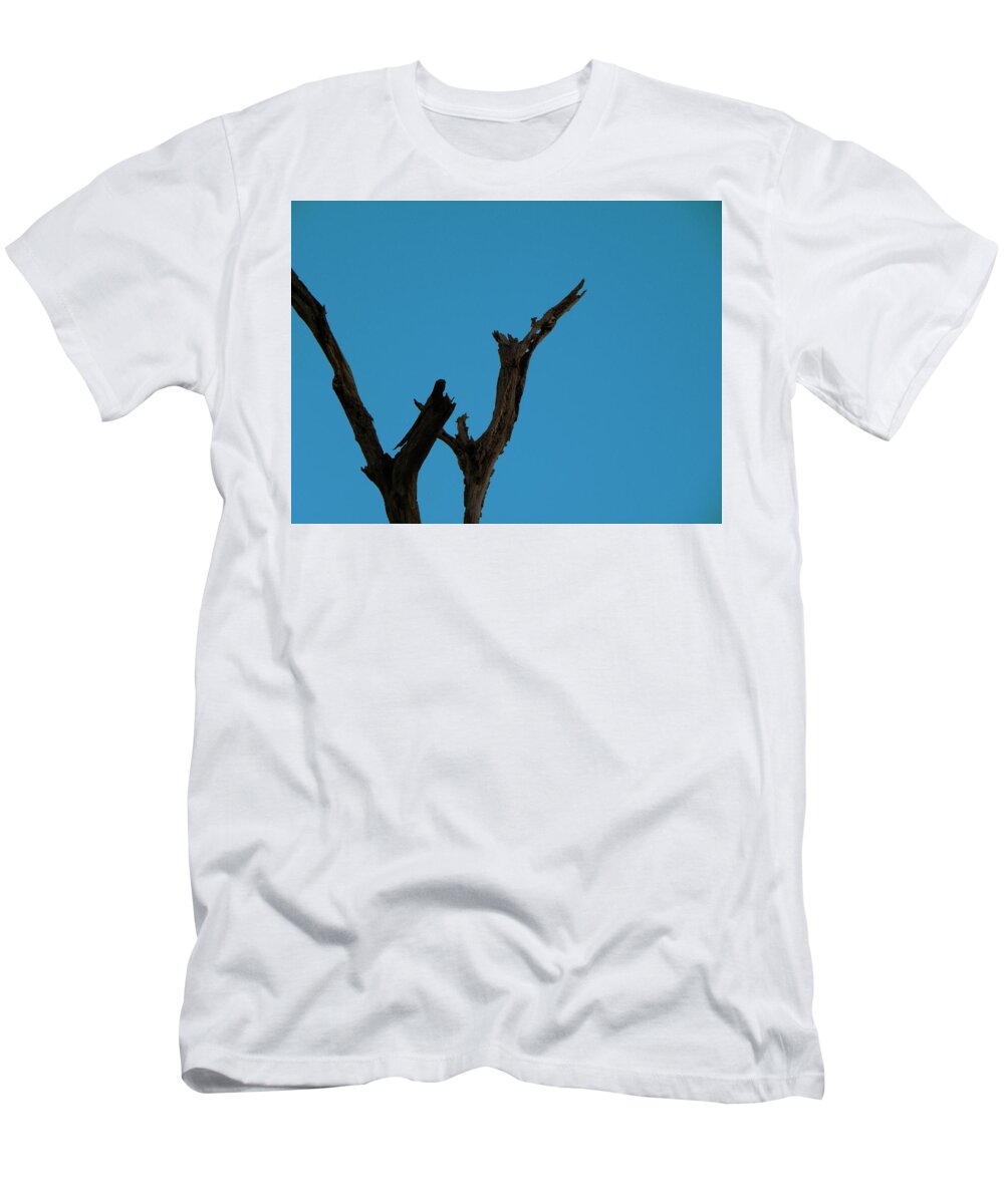 Circle B Bar Reserve T-Shirt featuring the photograph Reaching for the sky by Christopher Mercer