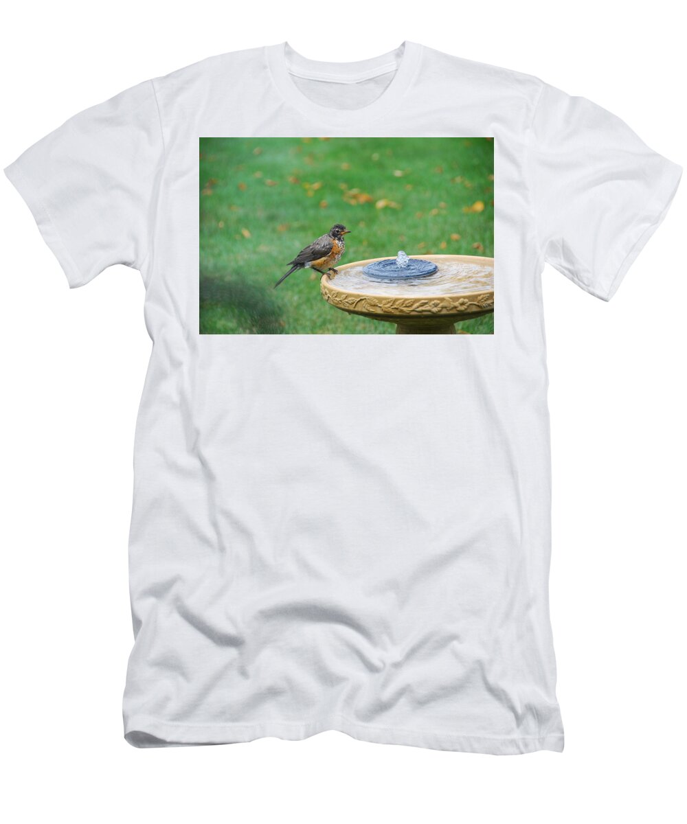 Robin T-Shirt featuring the photograph Ready to Jump In by Wanda Jesfield