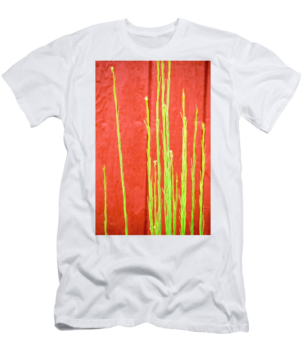 East Dover Vermont T-Shirt featuring the photograph Red Barn Green Flowers by Tom Singleton