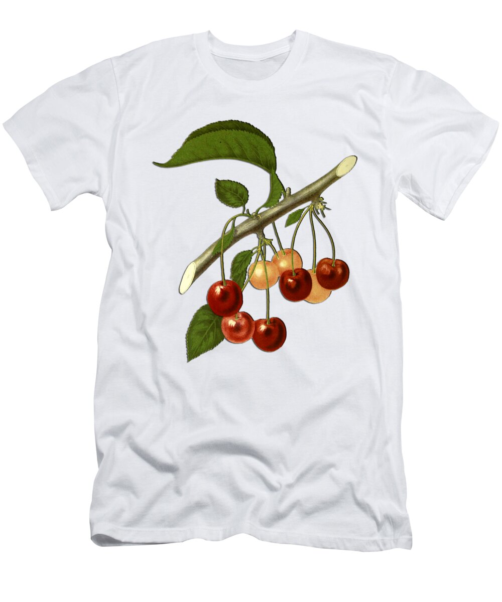 Cherries T-Shirt featuring the digital art Red Cherries by Ericamaxine Price