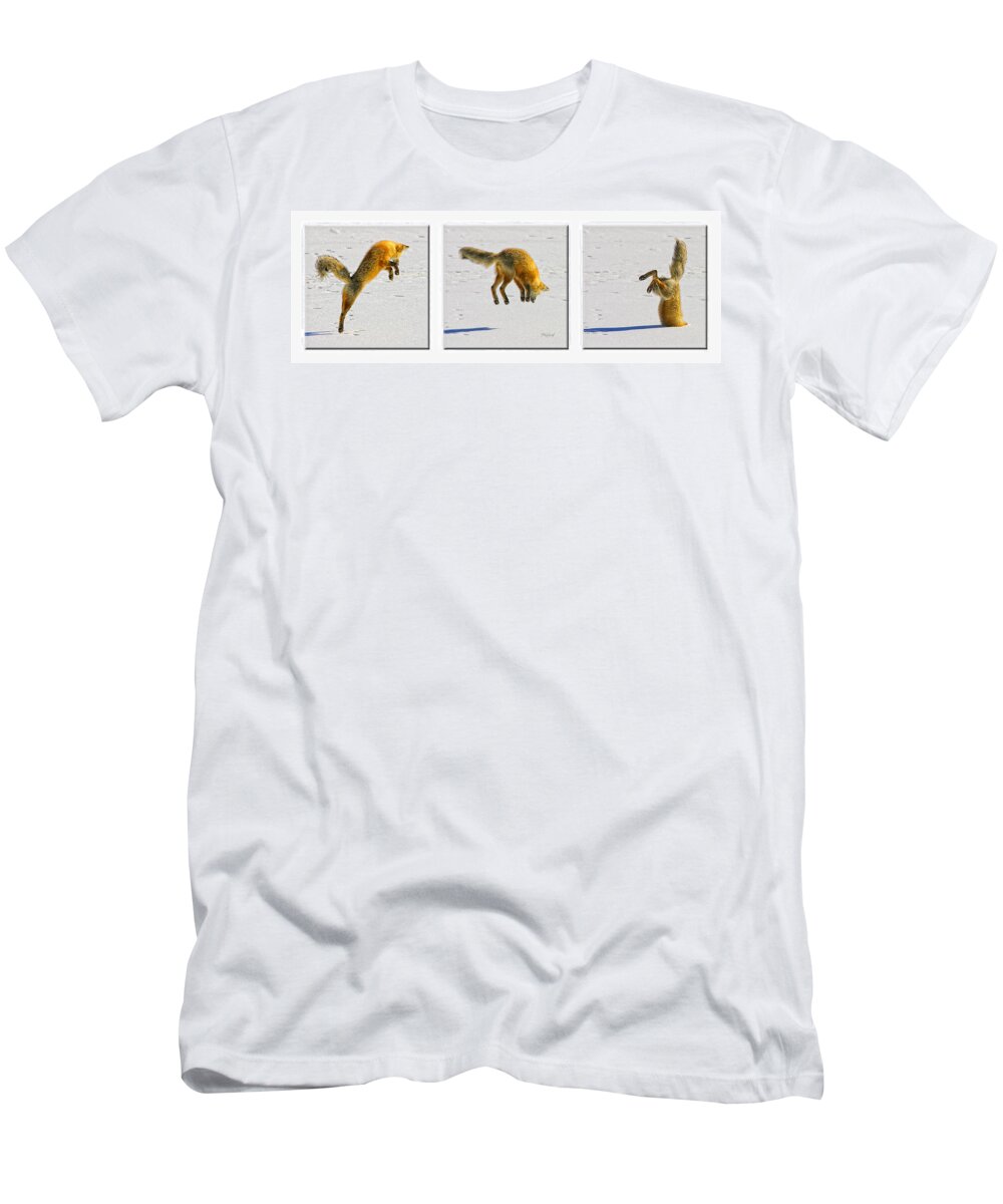 Red T-Shirt featuring the photograph Red Fox Hunting by Fred J Lord