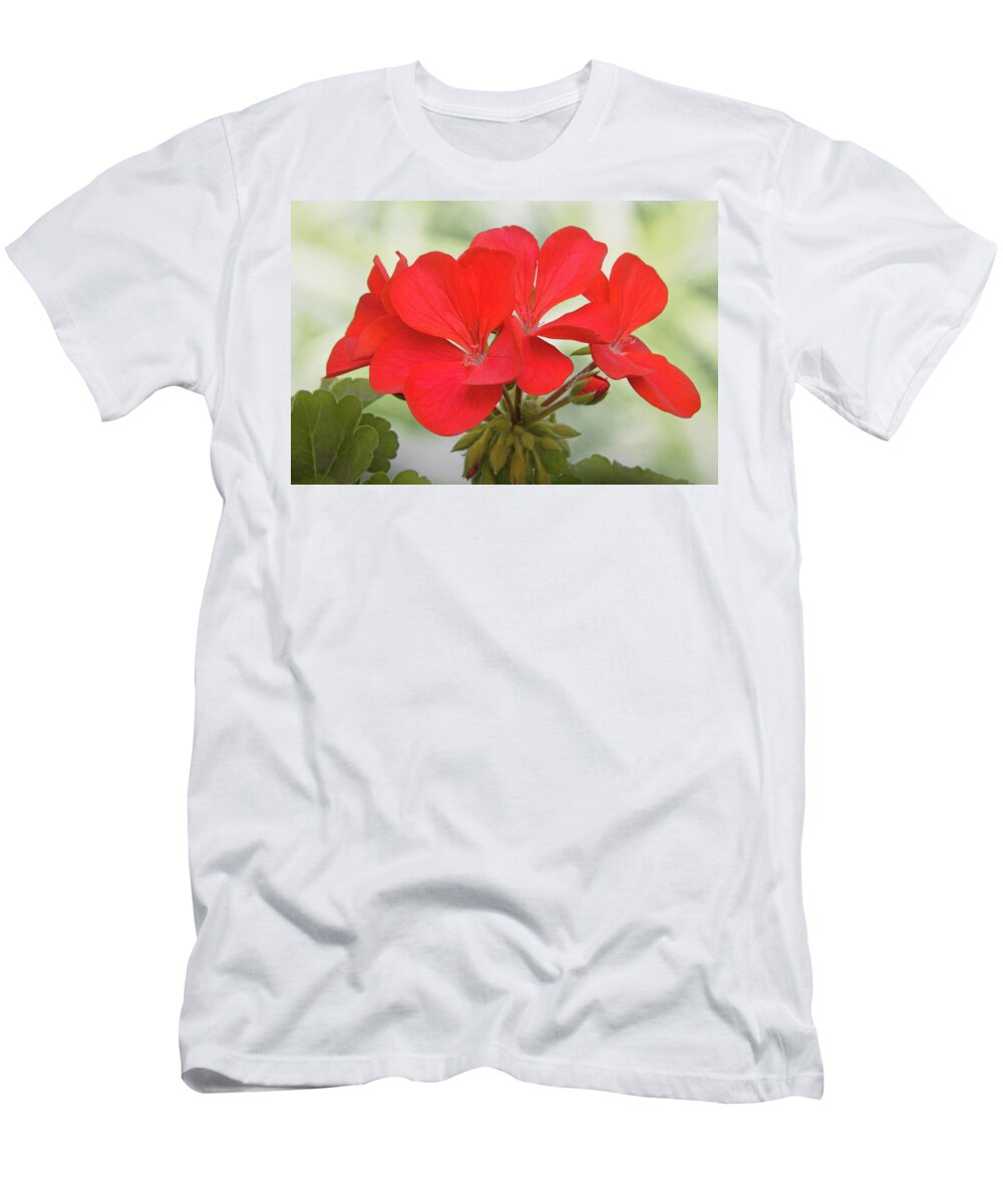 Geranium T-Shirt featuring the photograph Red Geranium by Terence Davis