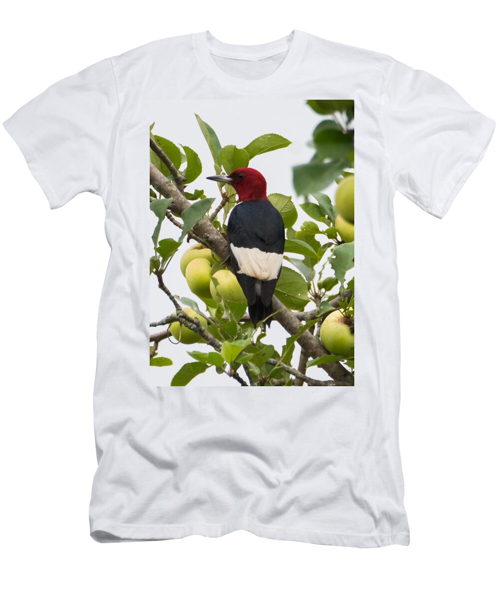 Red-headed Woodpecker T-Shirt featuring the photograph Red-Headed Woodpecker by Holden The Moment