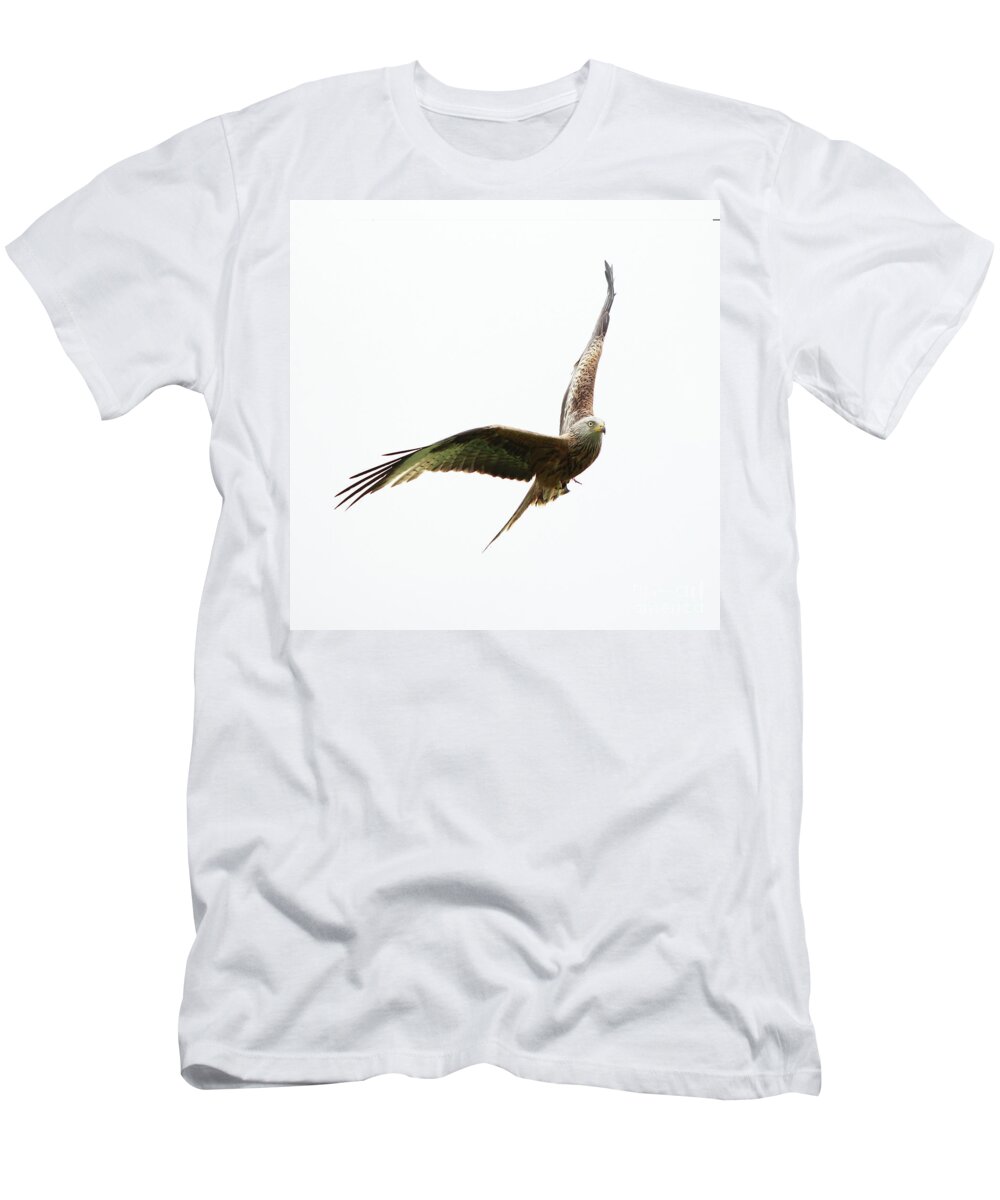 Red Kite T-Shirt featuring the photograph Red Kite by Maria Gaellman
