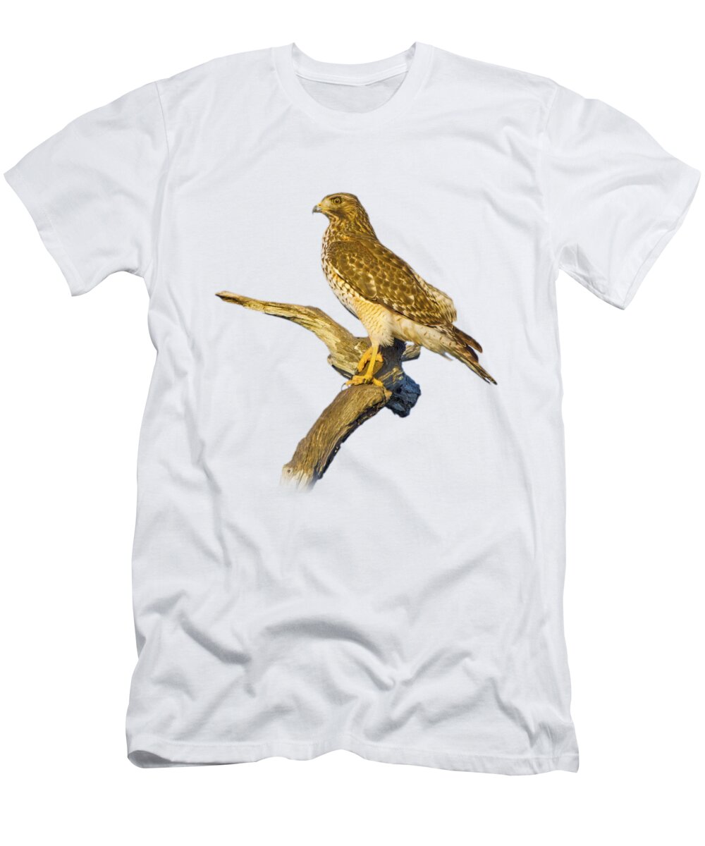 Hawk T-Shirt featuring the photograph Red Shouldered Hawk Perch by Mark Andrew Thomas
