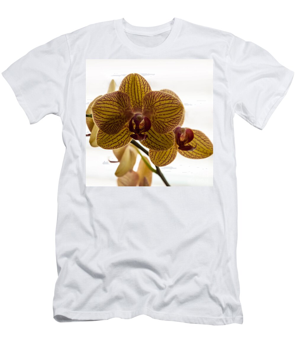 Orchid T-Shirt featuring the photograph Red Veined Orchid by Kirt Tisdale