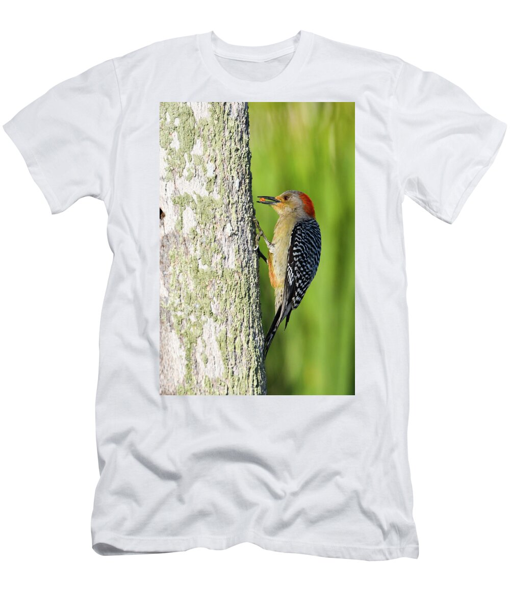 Bird T-Shirt featuring the photograph Redbellied Woodpecker with a Seed by Artful Imagery