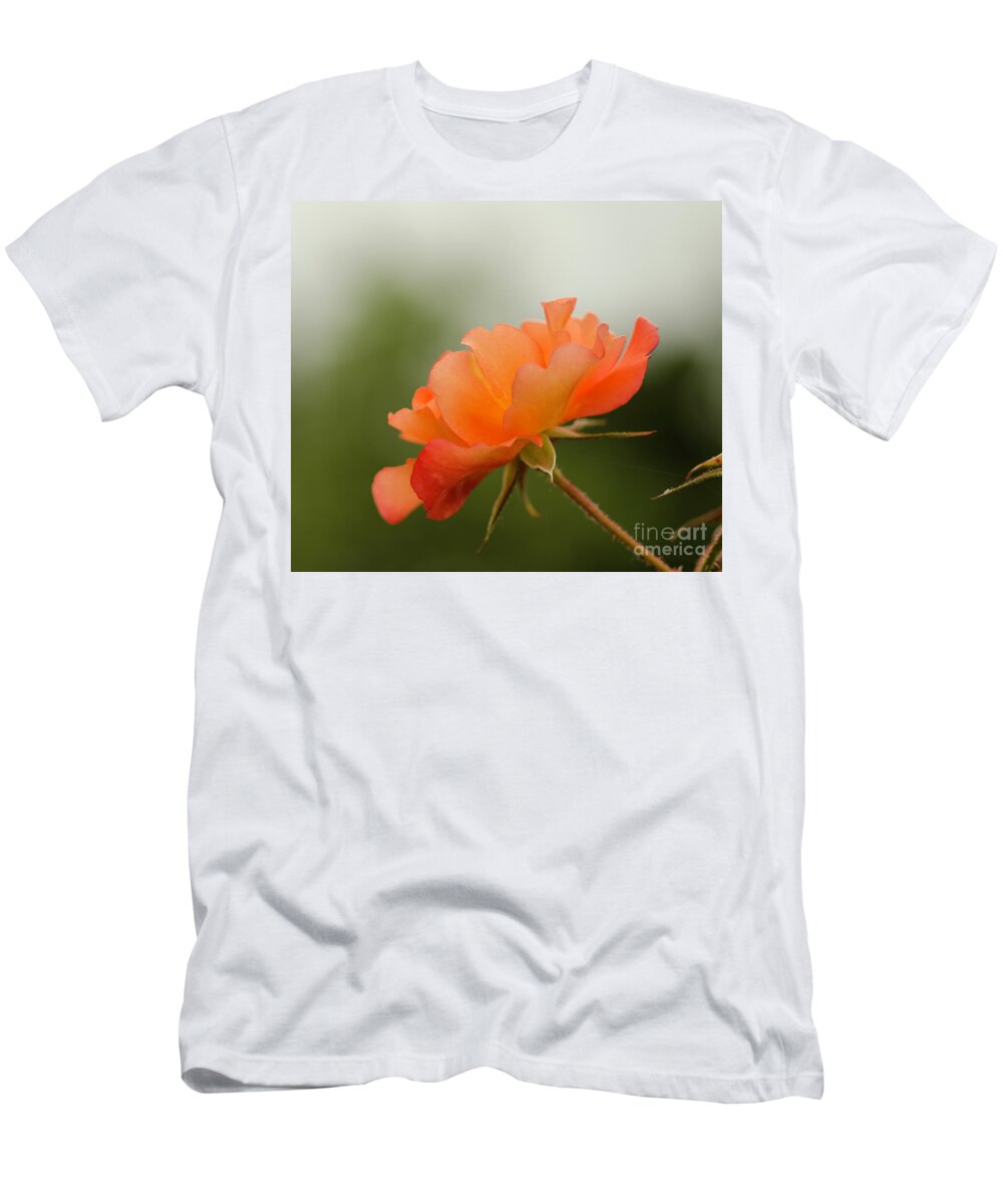 Flower T-Shirt featuring the photograph Redish Orange by Nick Boren