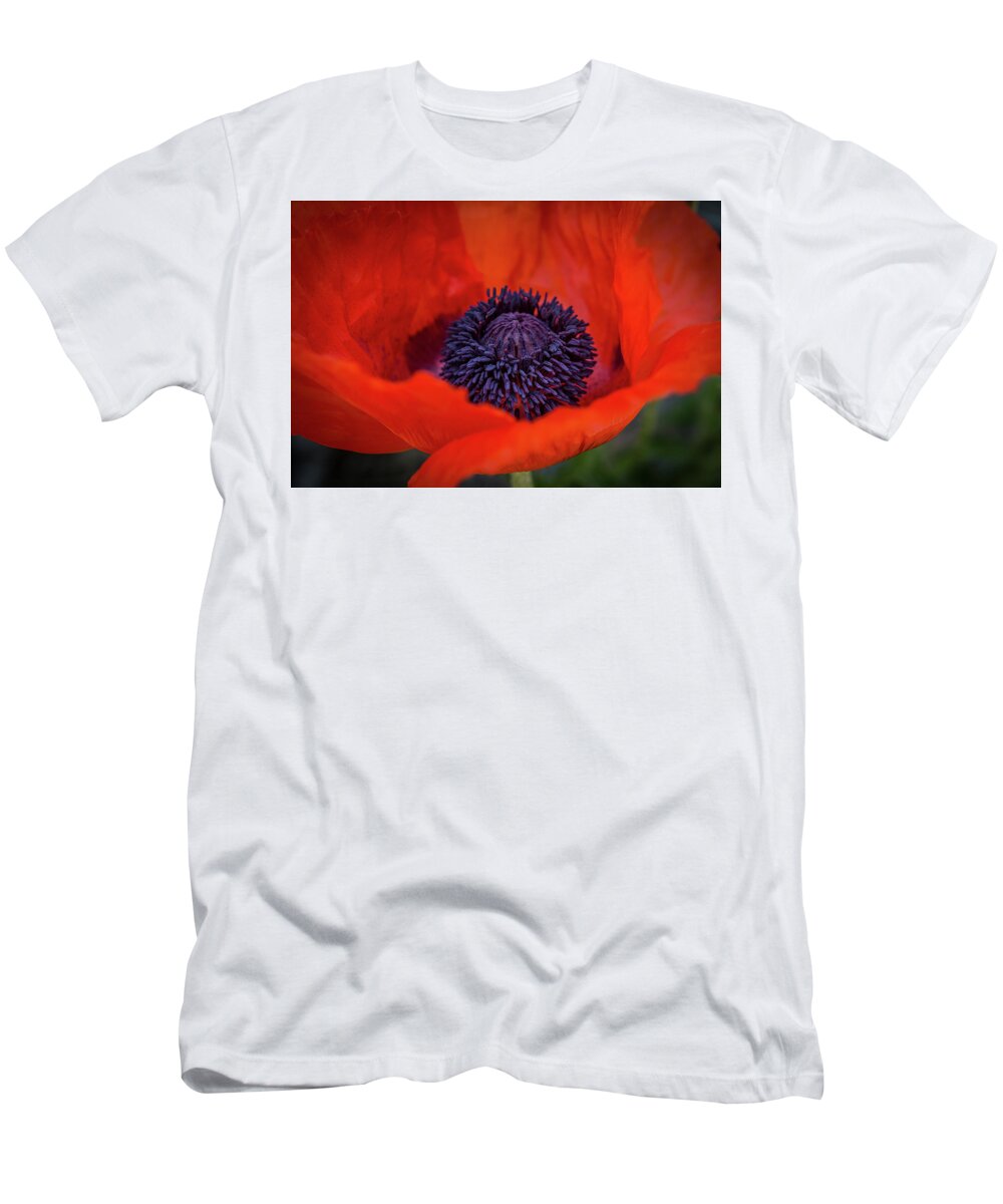 Fine Art Photography T-Shirt featuring the photograph Remembering Georgia #2 by John Strong