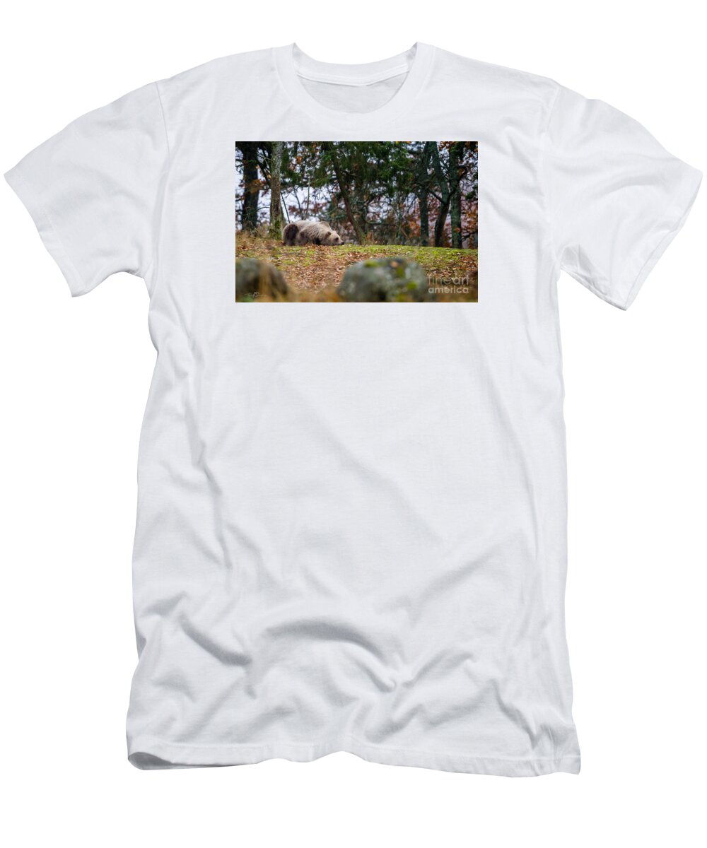 Bear T-Shirt featuring the photograph Resting Bear by Torbjorn Swenelius
