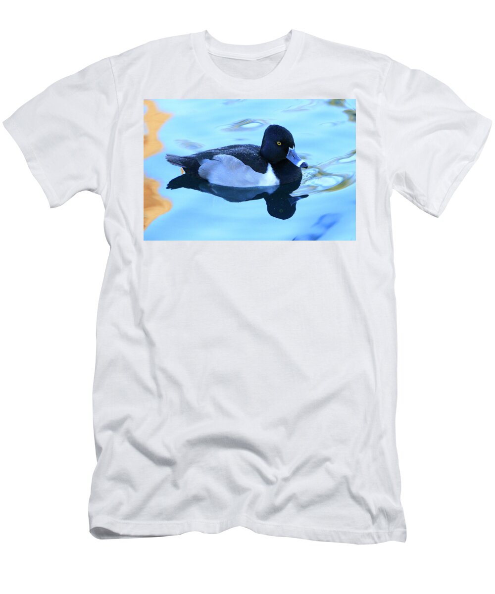 Ring-necked Duck T-Shirt featuring the photograph Ring-Necked Reflections by Shoal Hollingsworth