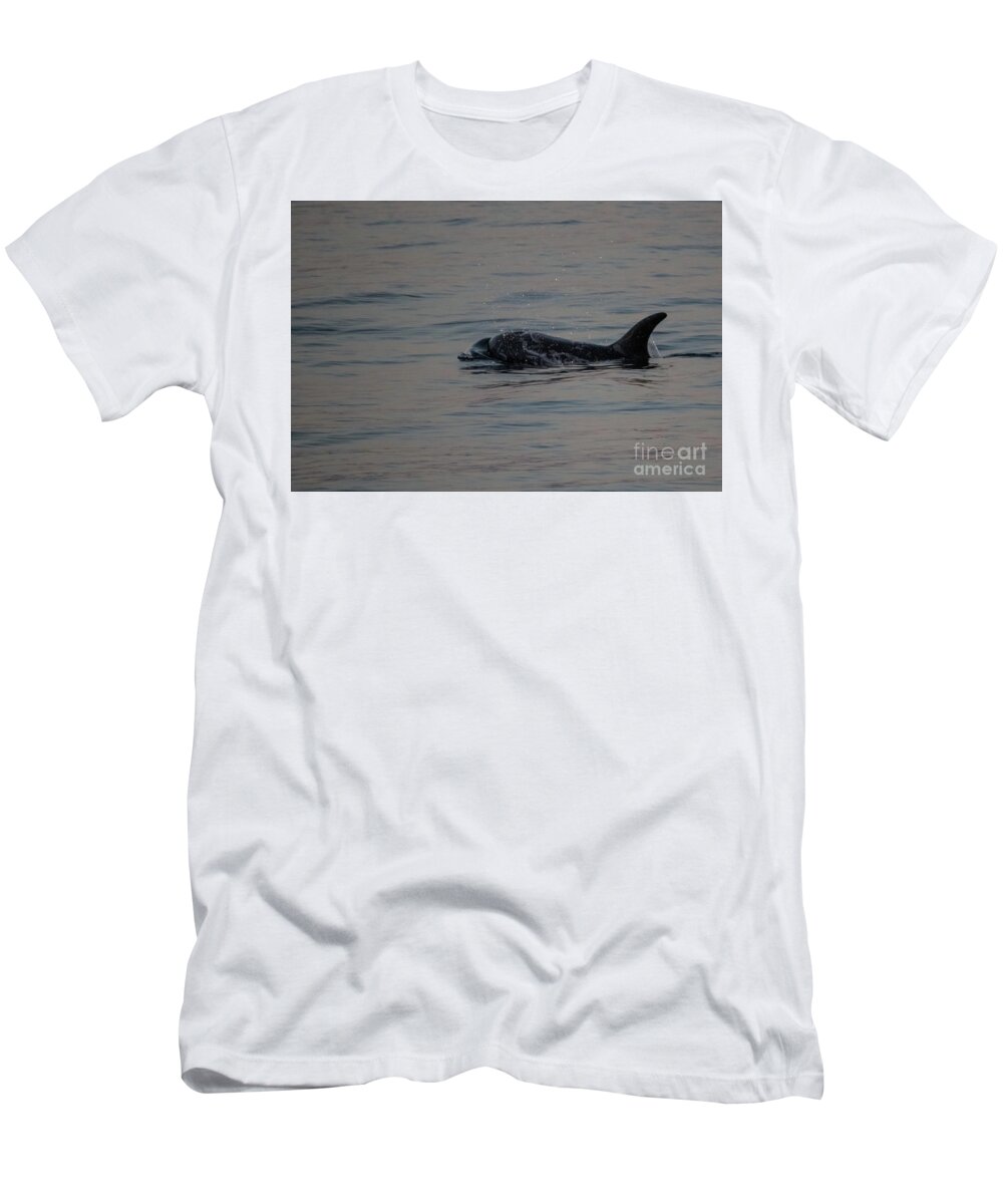 Risso's Dolphins T-Shirt featuring the photograph Risso's Dolphins by Suzanne Luft