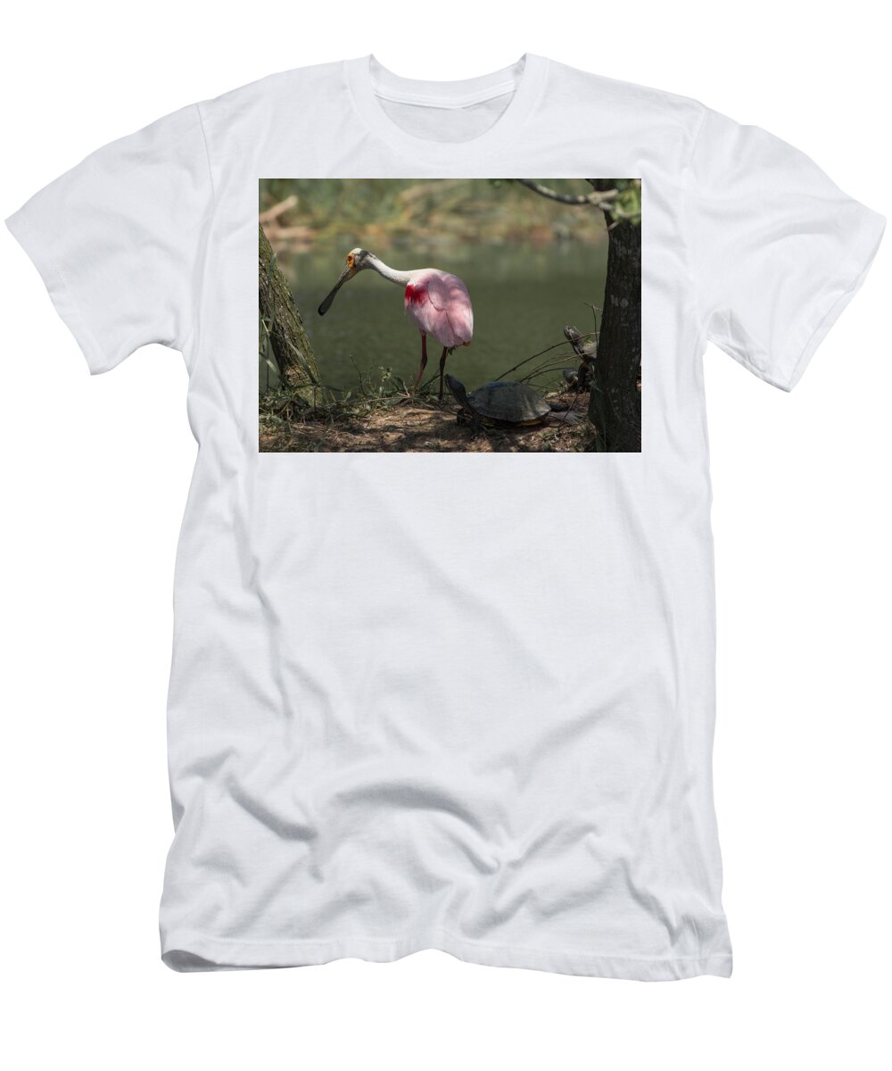 Roseate Spoonbill T-Shirt featuring the photograph Roseate Spoonbill-3 by Brent Bordelon