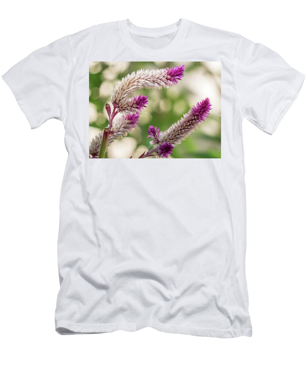 Florida T-Shirt featuring the photograph Ruby Parfait Celosia by Jane Luxton