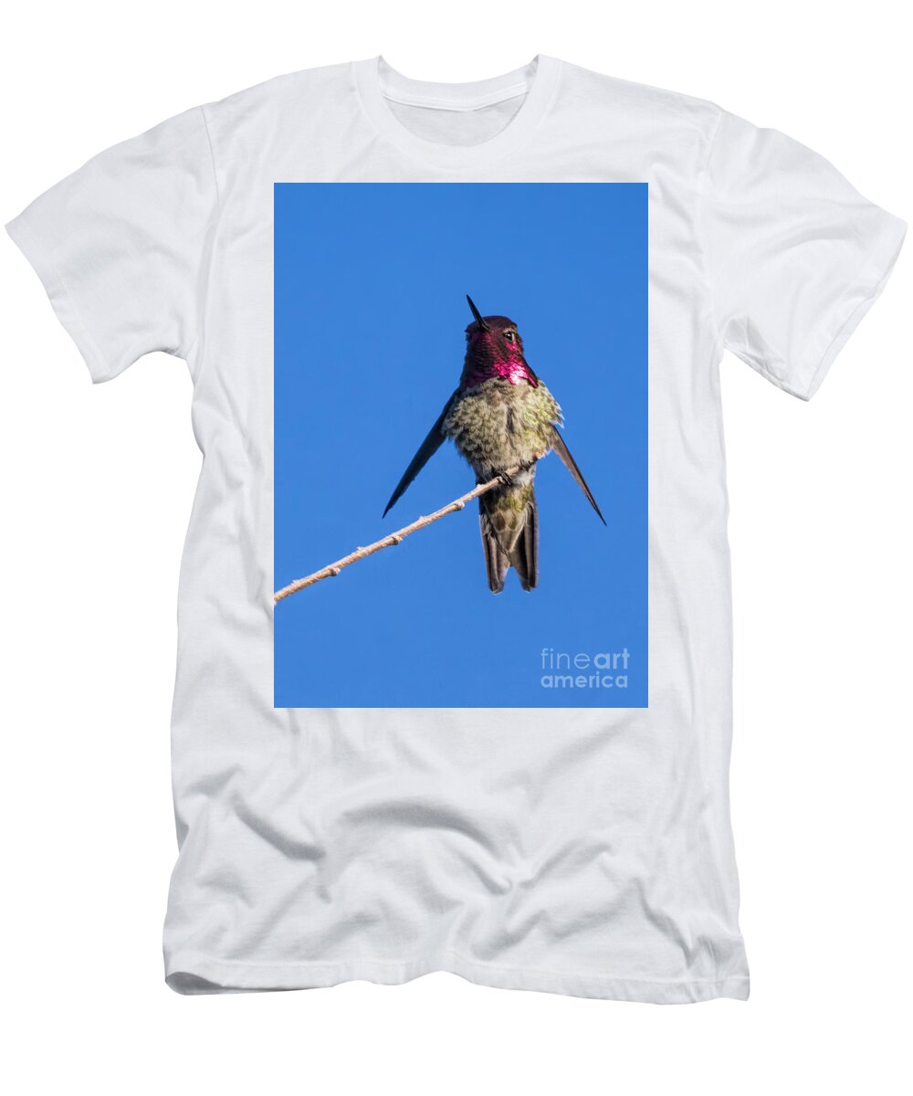 Ruby-throated Hummingbird T-Shirt featuring the photograph Ruby-throated Hummingbird by Priscilla Burgers