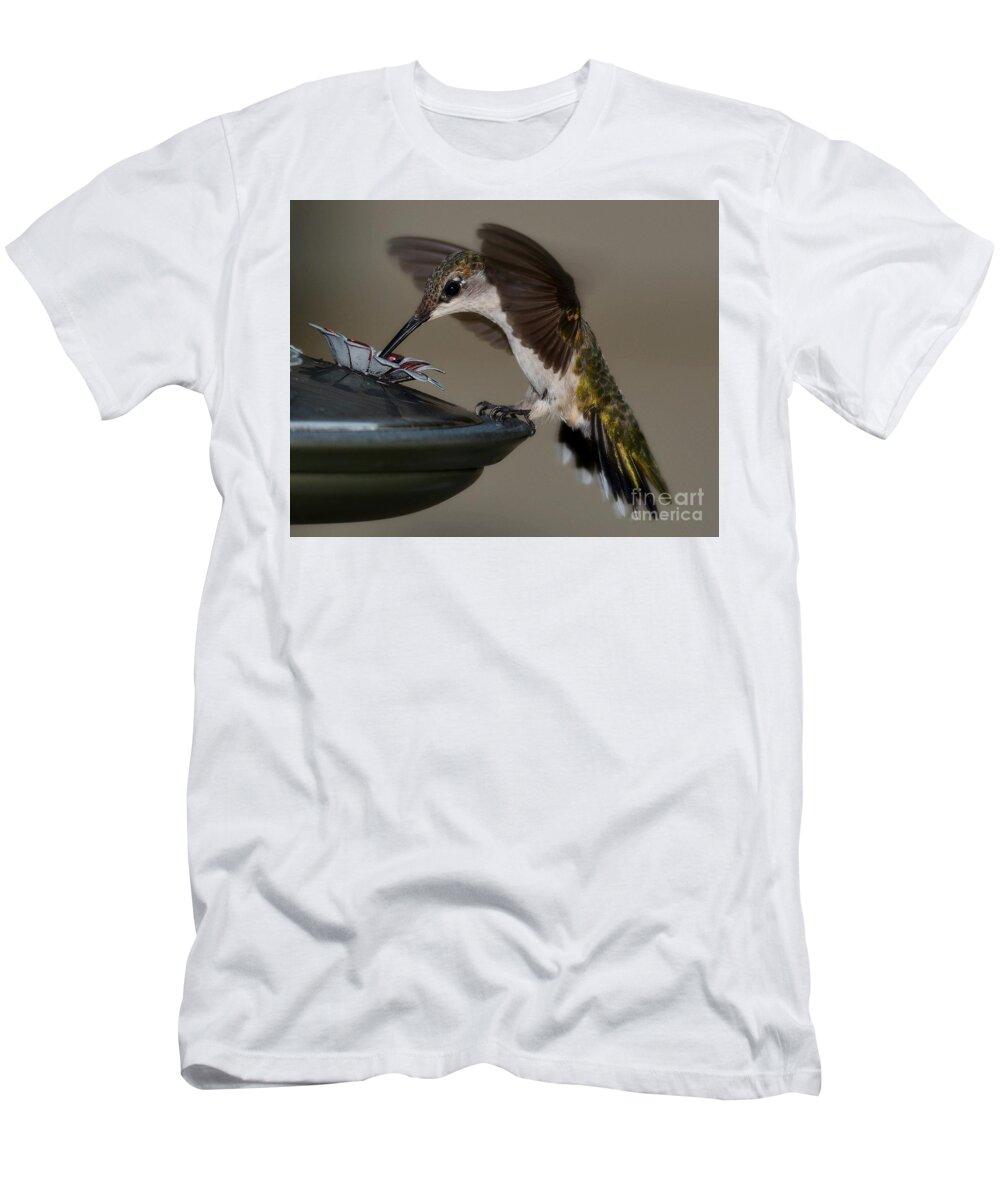 Birds T-Shirt featuring the photograph Ruby - Throated Hummingbird by Steve Brown