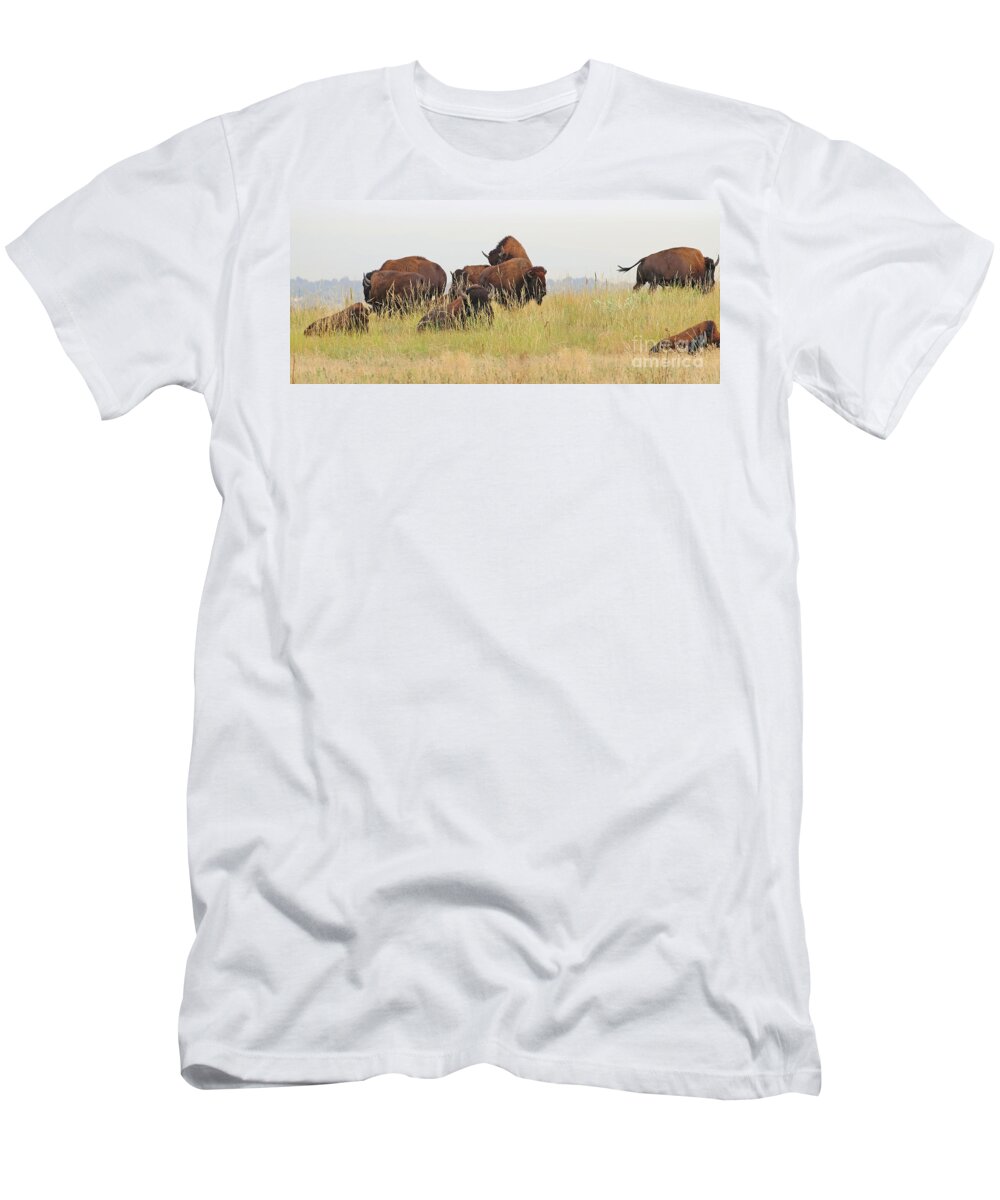 Buffalo T-Shirt featuring the photograph Rut Season for Buffalo 0077 by Jack Schultz