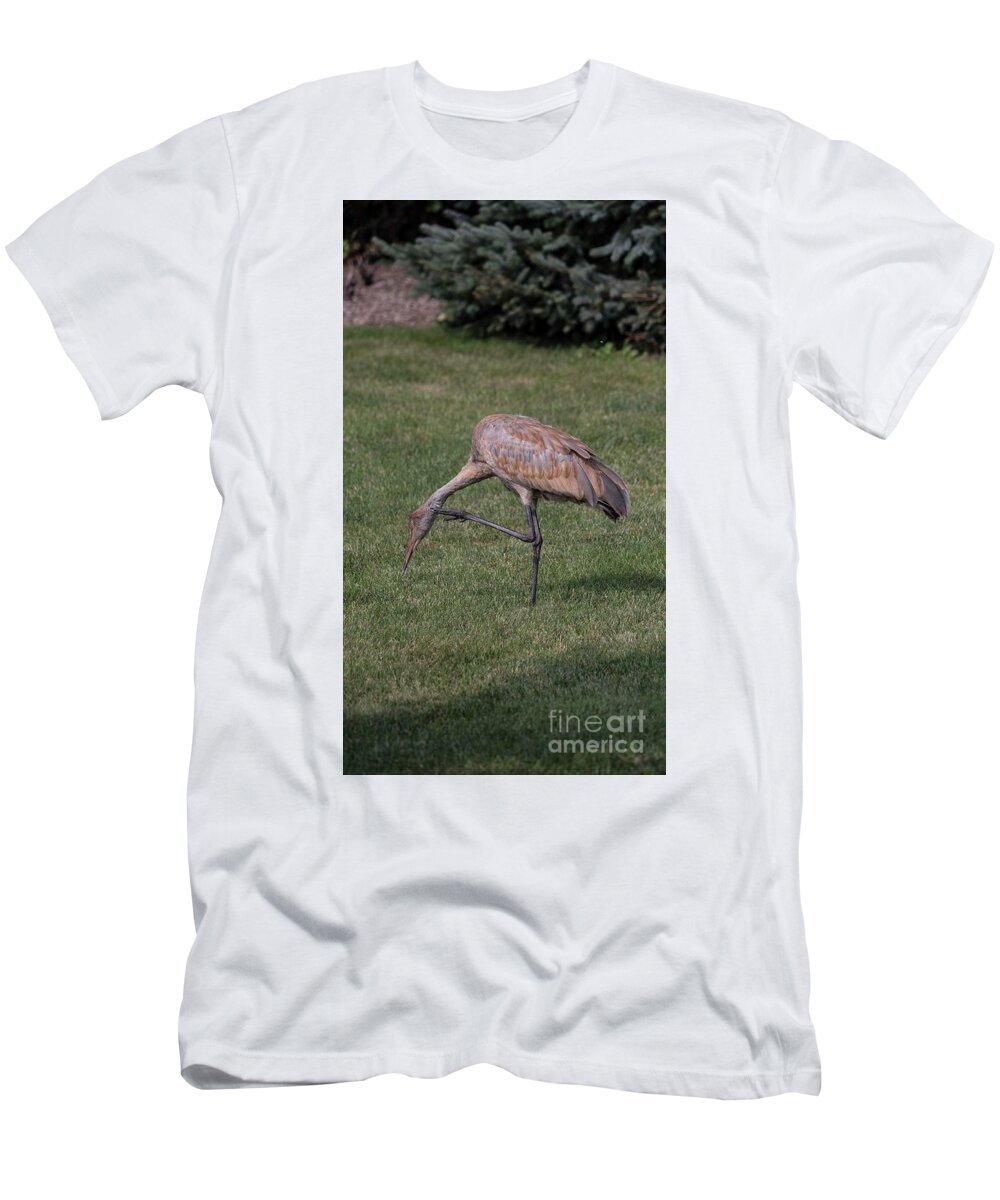 Sandhill T-Shirt featuring the photograph Sandhill Crane - 12 by David Bearden