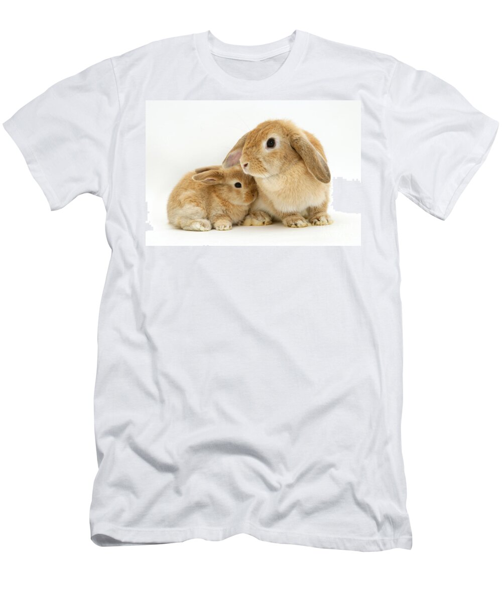 Sandy Lop Rabbit T-Shirt featuring the photograph Sandy Lop Rabbits by Jane Burton