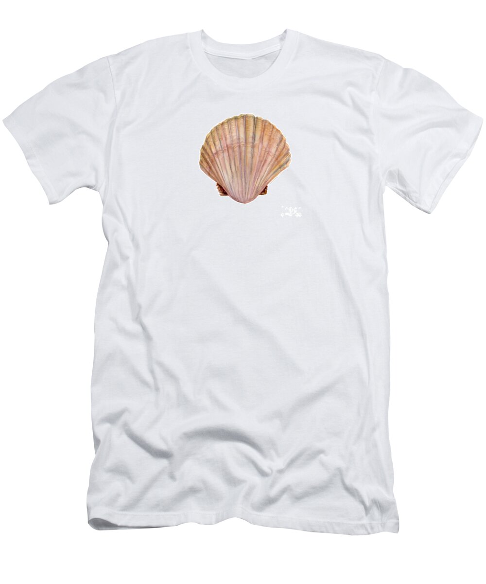 Scallop Shell Painting T-Shirt featuring the painting Scallop Shell by Amy Kirkpatrick