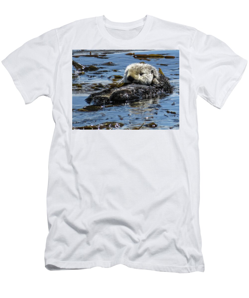 California Sea Otter T-Shirt featuring the photograph Sea Otter by Helaine Cummins