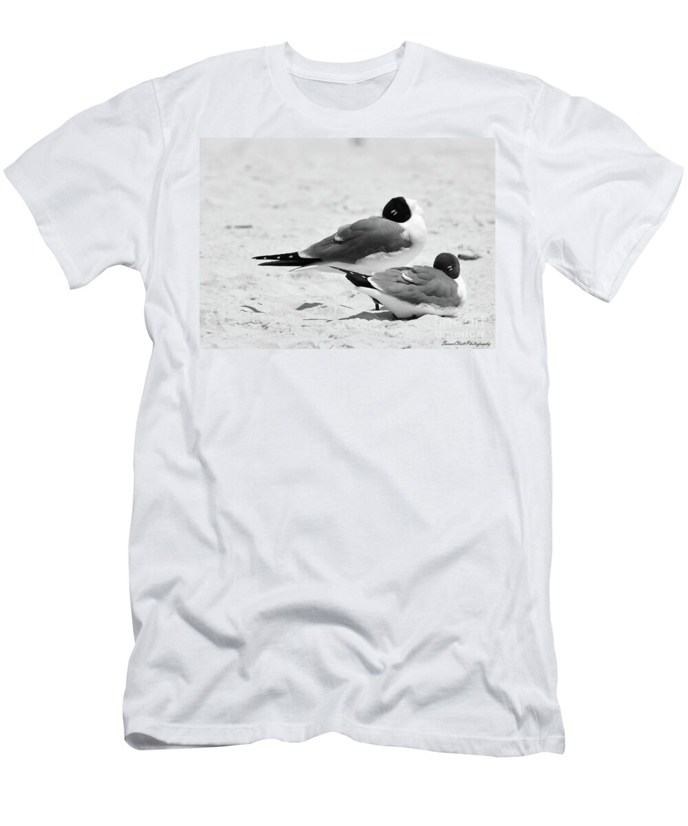 Beach T-Shirt featuring the photograph Seagull Nap Time by Susan Cliett