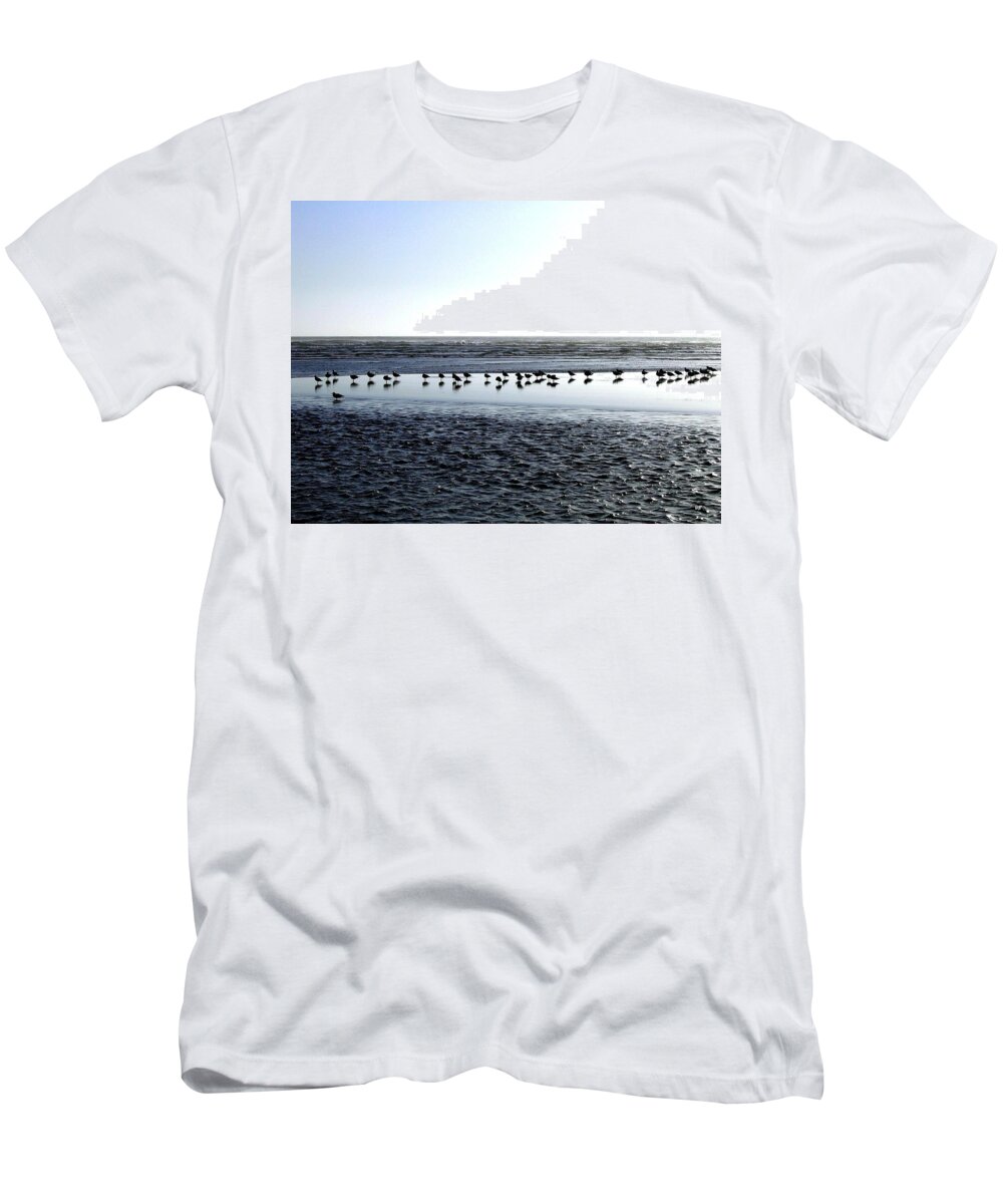 Seagulls T-Shirt featuring the photograph Seagulls On A Sandbar by Will Borden