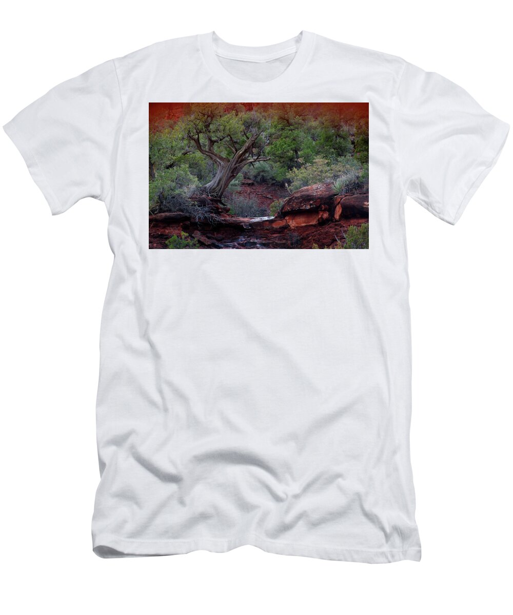 Tree T-Shirt featuring the photograph Sedona #1 by David Chasey