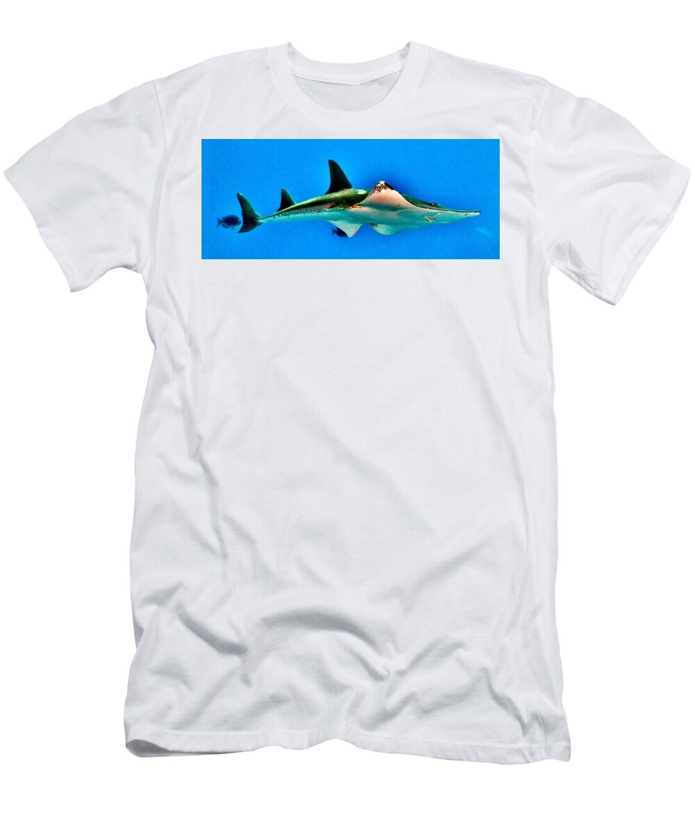 Fish T-Shirt featuring the photograph Shark or Stingray by Eileen Brymer