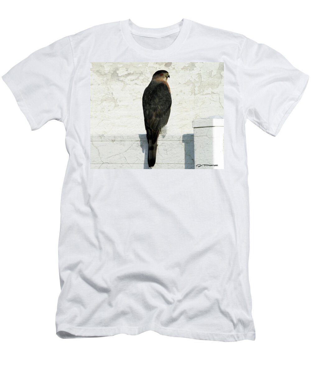 Sharp Shinned Hawk T-Shirt featuring the photograph Sharp Shinned Hawk by Jackson Pearson