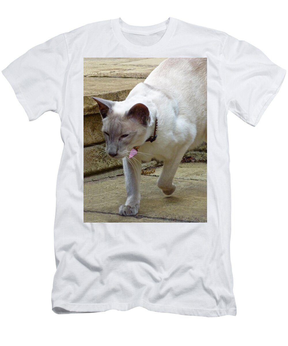 Siamese T-Shirt featuring the photograph Siamese Exploring by Gill Billington