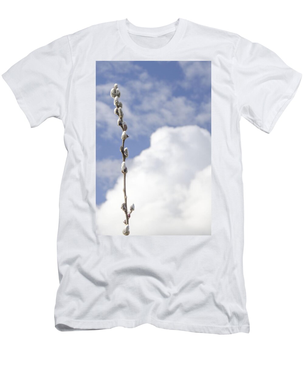 Pussywillow T-Shirt featuring the photograph Signs of Spring 2 by Kathy Paynter