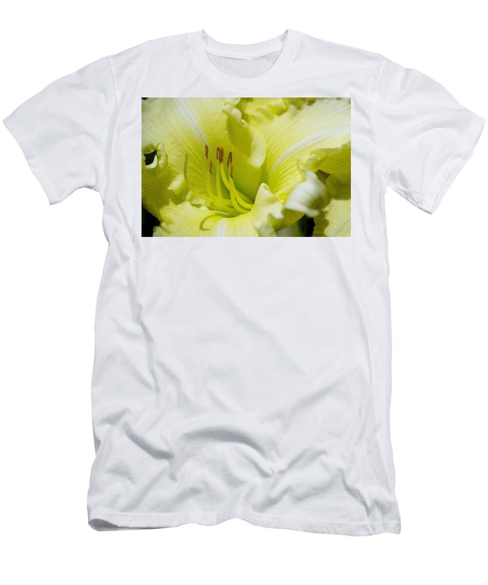 Beautiful T-Shirt featuring the photograph Silky Smooth Daylily by Belinda Lee