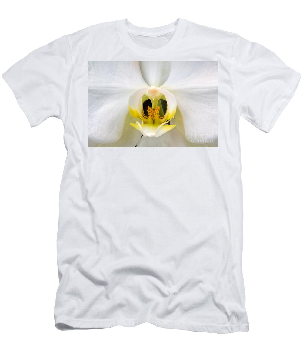 Simplicitymoth Orchid T-Shirt featuring the photograph Simplicity by Jemmy Archer